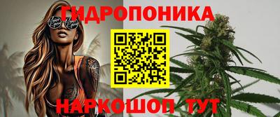 гашик Кунгур