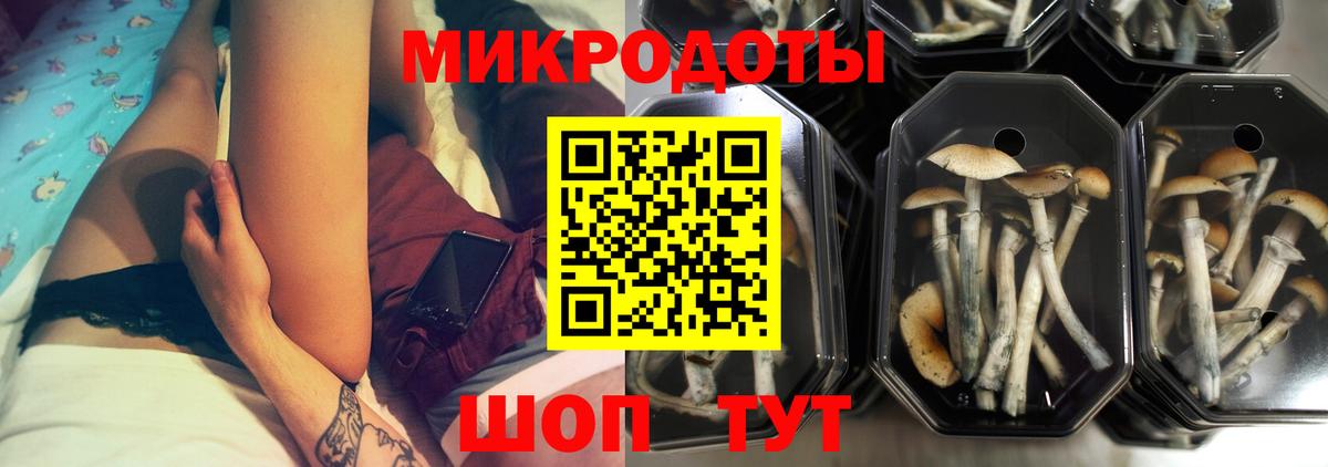 продажа наркотиков  Галлюциногенные грибы Magic Shrooms  Вход с VPN  Дзержинский 